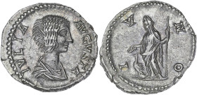 EMPIRE ROMAIN
Julia Domna (193-211). Denier 196-211, Rome. RIC.559 ; Argent - 3,44 g - 18 mm - 2 h
Patine grise. Superbe.