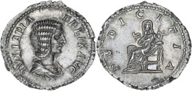 EMPIRE ROMAIN
Julia Domna (193-211). Denier 211-215, Rome. RIC.385 ; Argent - 3,22 g - 18,5 mm - 12 h
Belle patine. Superbe.