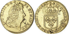 FRANCE / CAPÉTIENS
Louis XIV (1643-1715). Louis d’or à l’écu, flan neuf 1691, S, Reims. Dy.1435 - G.250 - Fr.429 ; Or - 6,68 g - 24 mm - 6 h
Sans ponc...