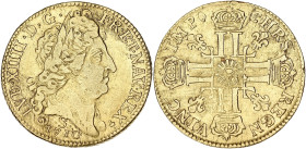 FRANCE / CAPÉTIENS
Louis XIV (1643-1715). Louis d’or au soleil 1710, S, Reims. Dy.1449 - G.256 - Fr.444 ; Or - 8 g - 25 mm - 6 h
Provient d’une vente ...