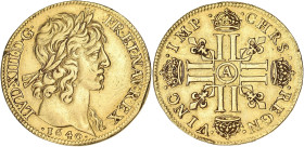 FRANCE / CAPÉTIENS
Louis XIII (1610-1643). Double louis d’or 1640, A, Paris. Dy.1297 - G.59 - Fr.409 ; Or - 13,41 g - 29 mm - 6 h
Un léger choc à 10h ...