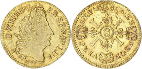 FRANCE / CAPÉTIENS
Louis XIV (1643-1715). Louis d’or aux quatre L, fausse réformation 1694, S, Reims. Dy.1440A - G.252 - Fr.433 ; Or - 6,65 g - 24 mm ...