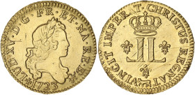 FRANCE / CAPÉTIENS
Louis XV (1715-1774). Louis d’or aux 2 L 1723, Pau. Dy.1635 - G.337a - Fr.456 ; Or - 9,50 g - 26 mm - 6 h
Exemplaire nettoyé avec q...