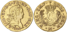 FRANCE / CAPÉTIENS
Louis XV (1715-1774). Louis d’or dit Mirliton aux palmes longues 1724, M, Toulouse. Dy.1638 - G.339 - Fr.459 ; Or - 6,46 g - 23 mm ...