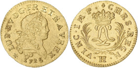 FRANCE / CAPÉTIENS
Louis XV (1715-1774). Louis d’or dit Mirliton aux palmes longues 1725, H, La Rochelle. Dy.1638 - G.339 - Fr.459 ; Or - 6,47 g - 23 ...