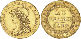 ITALIE
Gaule subalpine (1800-1802). 20 francs Marengo An 9 (1801), Turin. DMP.894 - M.6 - Fr.1172 ; Or - 6,41 g - 21 mm - 6 h
Anciennement serti et ne...