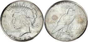USA
République fédérale des États-Unis d’Amérique (1776-à nos jours). Peace dollar 1922, S, San Francisco. KM.150 ; Argent - 37,5 mm - 6 h
PCGS MS63 (...