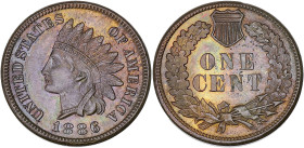 USA
République fédérale des États-Unis d’Amérique (1776-à nos jours). One cent tête d’indien 1886, Philadelphie. KM.90a ; Bronze - 3,11 g - 19 mm - 6 ...