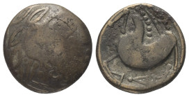 Ostkelten. Subkarpaten. Typ 'Schnabelpferd'.

 Tetradrachme (Billon).
Vs: Stilisierter Kopf des Zeus mit Lorbeerkranz rechts.
Rs: Stilisiertes Pfe...
