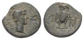 Troas. Ilion. Augustus (31 v. - 14 n. Chr.).

 Bronze.
Vs: Kopf des Augustus rechts.
Rs: Eule zwischen zwei Monogrammen frontal stehend.

13 mm....