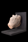 EGYPTIAN TERRACOTTA ELEMENT OF FUNERAL SCULPTURE

 Late Period, ca. 664-332 BC
 A sculpted pottery head of a bull symbolizing the divinity Apis, fe...