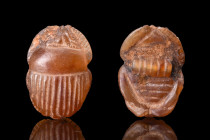 EGYPTIAN CARNELIAN FUNERARY SCARAB

 Ca. 664-332 BC
 This extremely fine modelled amulet depicts a scarab with a naturalistic underside and a loop ...