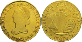ECUADOR Repubblica - 8 Escudos 1840 Quito Fr 3 AU Oro gr. 26,81 Rarissima 34,19mm
qSPL