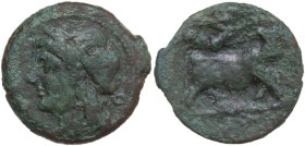 Greek Italy. Samnium, Southern Latium and Northern Campania, Teanum Sidicinum. AE 19 mm, c. 265-240 BC. Obv. Laureate head of Apollo left, [symbol beh...