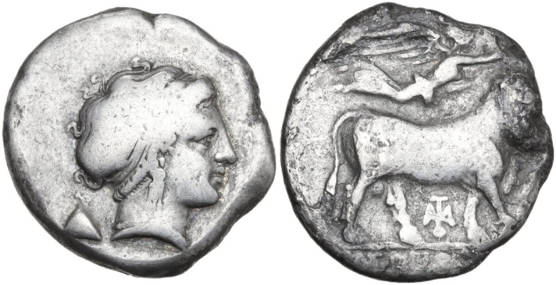 Greek Italy. Central and Southern Campania, Neapolis. AR Nomos, 320-300 BC. Obv....