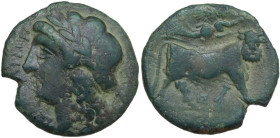 Greek Italy. Central and Southern Campania, Neapolis. AE 19.5 mm. c. 275-250 BC. Obv. [NEOΠO]ΛITΩN. Laureate head of Apollo left. Rev. Man-headed bull...