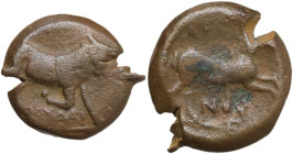 Greek Italy. Northern Apulia, Arpi. AE 19.5 mm, c. 275-250 BC. Obv. Bull butting right. Rev. Horse galloping right. HN Italy 645; HGC 1 535. AE. 8.04 ...