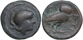 Greek Italy. Northern Apulia, Teate. AE 21mm, c. 275-225 BC. Obv. Helmeted head of Athena right. Rev. TI-ATI. Owl right, wings closed. HN Italy 701; S...