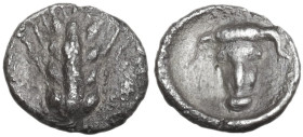 Greek Italy. Southern Lucania, Metapontum. AR Obol, c. 440-430 BC. Obv. Ear of barley of four grains. Rev. Facing head of ox. HN Italy 1500. AR. 0.36 ...