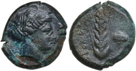Greek Italy. Southern Lucania, Metapontum. AE Obol, 425-350 BC. Obv. Head of Demeter right, wearing wreath of grain. Rev. Ear of barley; to right, pop...