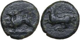 Sicily. Kainon. AE 22 mm, c. 360-340 BC. Obv. Winged eagle-griffin flying left; clouds below. Rev. Horse galloping left, trailing reins. HGC 2 509. AE...