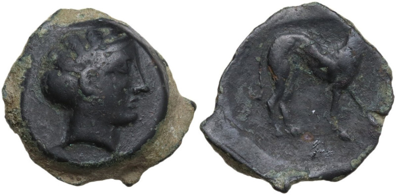 Sicily. Segesta. AE 18 mm, before 409 BC. Obv. Head of nymph right. Rev. Dog sta...