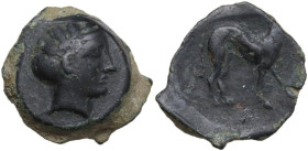 Sicily. Segesta. AE 18 mm, before 409 BC. Obv. Head of nymph right. Rev. Dog standing right. Lindgren II, 534. AE. 4.15 g. 18.00 mm. Struck on an inte...