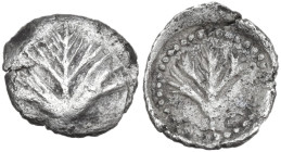 Sicily. Selinos. AR Litra, 515-480 BC. Obv. Celery leaf. Rev. Celery leaf within incuse circle with dotted border. SNG ANS 687; SNG München 879. AR. 0...