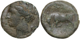 Sicily. Syracuse. Agathokles (317-289 BC). AE, c. 317-310 BC. Obv. Head of Kore left, wearing wreath of grain ears, earring and necklace, behind, unce...