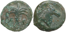 Punic Sicily. AE 20 mm, late 4th-early 3rd century BC. Obv. Palm tree. Rev. Head of horse right. SNG Cop. 102-105. AE. 6.51 g. 20.50 mm. Green patina....