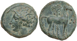Punic Sicily. AE 15 mm, late 4th-early 3rd century BC. Obv. Head of Tanit left, wearing wreath of grain. Rev. Horse standing right before palm tree; t...
