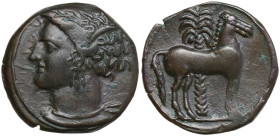 Punic Sicily. AE 15 mm, late 4th-early 3rd century BC. Obv. Head of Tanit left, wearing wreath of grain. Rev. Horse standing right before palm tree. S...