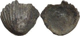 Aes Premonetale. Aes Formatum. AE cast Cockle-shell, Central Italy, 6th-4th century BC. Vecchi ICC pl. 90,5; cf. G. Fallani, IANP Publication 8, 1986....