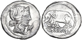 Q. Caecilius Metellus Pius. AR Denarius, North Italy, 81 BC. Obv. Diademed head of Pietas right; before, stork. Rev. Elephant left; in exergue, Q·C·M·...