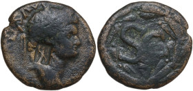 Domitian (81-96). AE Semis. Antioch mint (Seleucis and Pieria), 81-83. Obv. Laureate head right. Countermark, Minerva. Rev. S • C within laurel wreath...