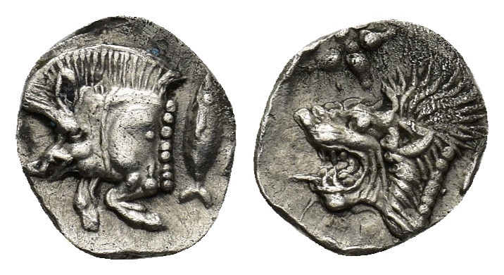 Mysia, Kyzikos AR Hemiobol. (0.42 Gr. 8mm.) Circa 450-400 BC. 
Forepart of boar ...