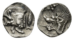 Mysia, Kyzikos AR Hemiobol. (0.42 Gr. 8mm.) Circa 450-400 BC. 
Forepart of boar left; tunny upward to right 
Rev. Head of roaring lion left, with star...
