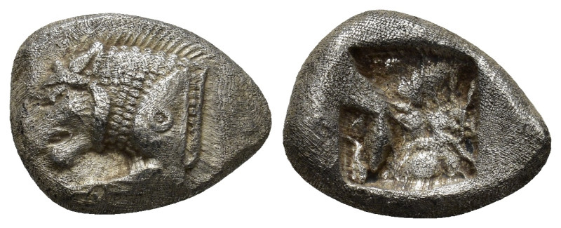 CARIA, Mylasa. Circa 520-490 BC. AR Tetrobol (17mm, 3.61 g) Forepart of roaring ...