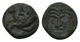 TROAS, Skepsis. Circa 350-310 BC. AE. (0. 76 Gr. 9mm). 
Forepart of Pegasos right 
Rev Fir-tree in linear square; thunderbolt left.