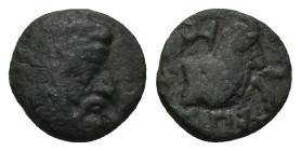 IONIA & LYDIA, Persian Satraps. Spithridates. Circa 334 BC. AE (0.79 Gr. 9mm).
 Head of Spithridates right, wearing tiara 
Rev. Forepart of horse righ...