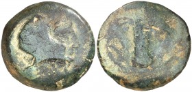 Baria (Villaricos). Calco. (FAB. 213) (ACIP. 628). 14,44 g. BC/RC.