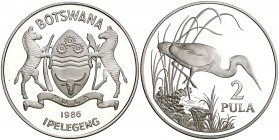 1986. Botswana. 2 pula. (Kr. 18). 28,22 g. AG. Proof.