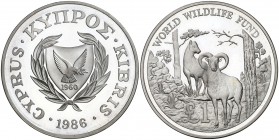 1986. Chipre. 1 libra. (Kr. 59a). 28,27 g. AG. Escasa. Proof.