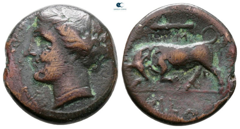 Sicily. Syracuse. Hieron II 275-215 BC. 
Bronze Æ

19 mm, 5,02 g



nearl...