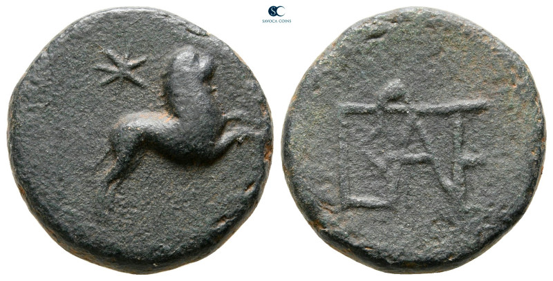 Kings of Bosporos. Pantikapaion. Polemo I 14-9 BC. 
Bronze Æ

19 mm, 6,95 g
...