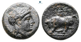 Mysia. Gambrion circa 250-200 BC. Bronze Æ