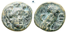 Troas. Sigeion circa 350-300 BC. Bronze Æ