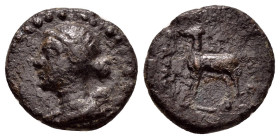 KINGS OF CAPPADOCIA. Ariarathes X Eusebes Philadelphos (42-36 BC). Ae.

Condition : Good very fine.

Weight : 3.1 gr
Diameter : 16 mm