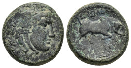 SELEUKID KINGS OF SYRIA. Seleukos I Nikator (312-281 BC). Ae.

Condition : Good very fine.

Weight : 6.9 gr
Diameter : 18 mm
