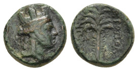 PHOENICIA. Tyre.(Circa late 2nd-1st century BC).Ae.

Condition : Good very fine.

Weight : 2.6 gr
Diameter : 12 mm
